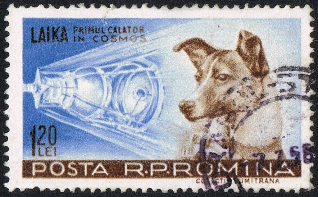 Francobollo postale raffigurante la cagnetta Laika emesso dalle poste Rumene